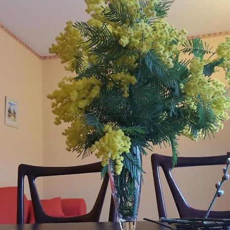 Appartamento Lucio Levanto Dış mekan fotoğraf